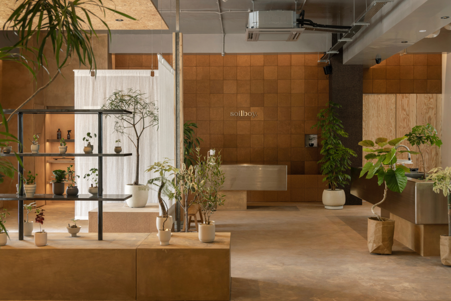 Soilboy, New Bahru